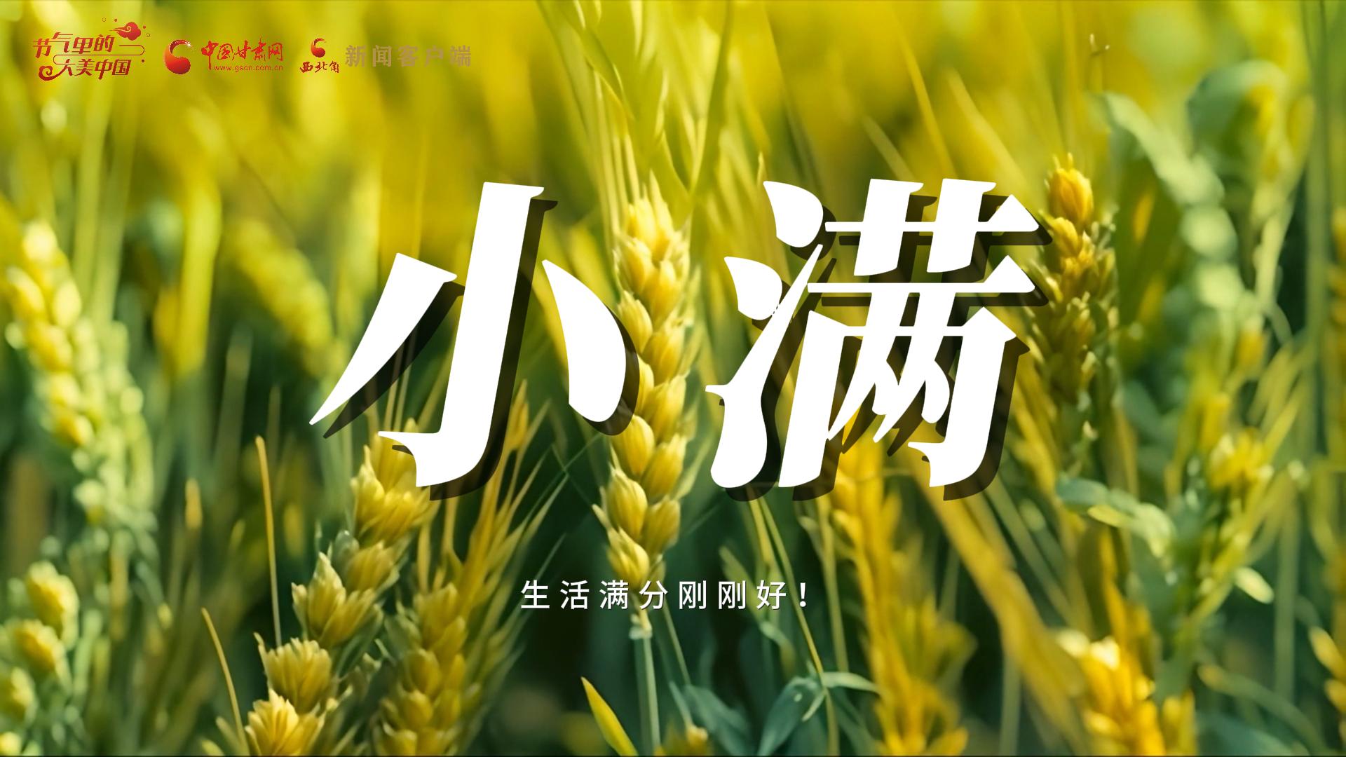 【節(jié)氣里的大美甘肅·小滿】生活滿分剛剛好！