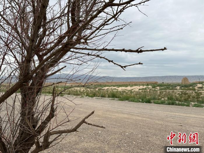 圖為位于長(zhǎng)城墻體上的“馬面”或“敵臺(tái)”?！〈魑牟?攝