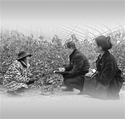 1736726101155298.jpg 33.jpg