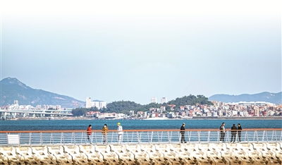 1738973625471174.jpg 444.jpg