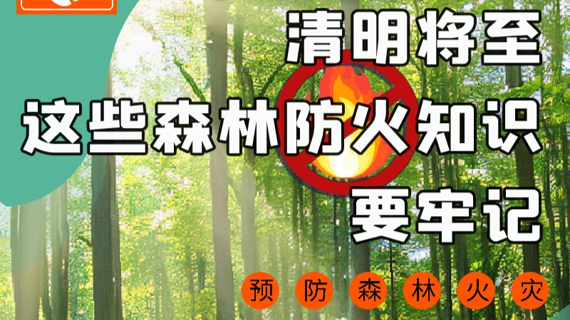 【甘快看】圖解|緊繃“安全弦”！清明，這些森林防火知識(shí)要牢記