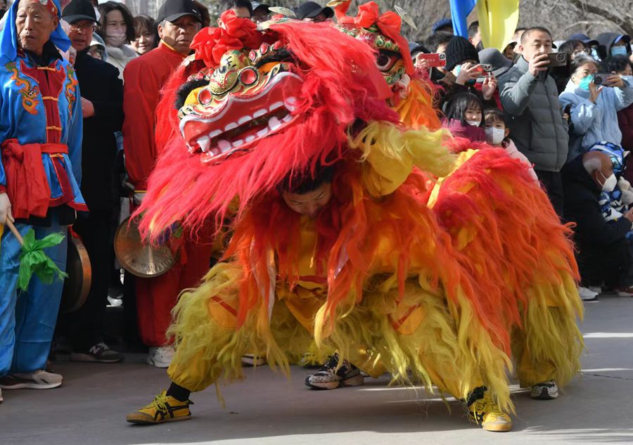 蘭州北獅表演現(xiàn)場。受訪者供圖