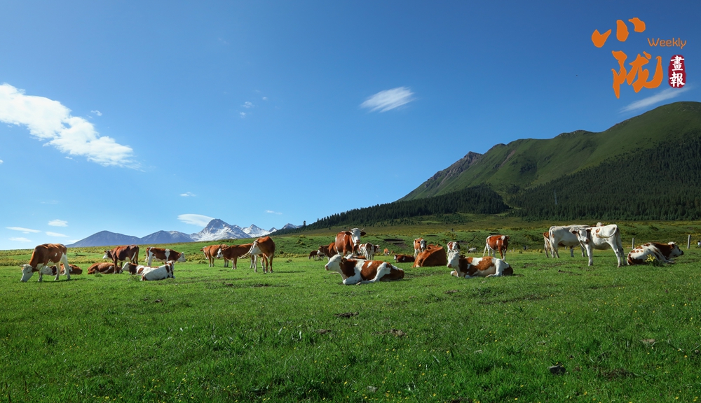 山丹 探訪(fǎng)千年馬場(chǎng) 領(lǐng)略草原風(fēng)光