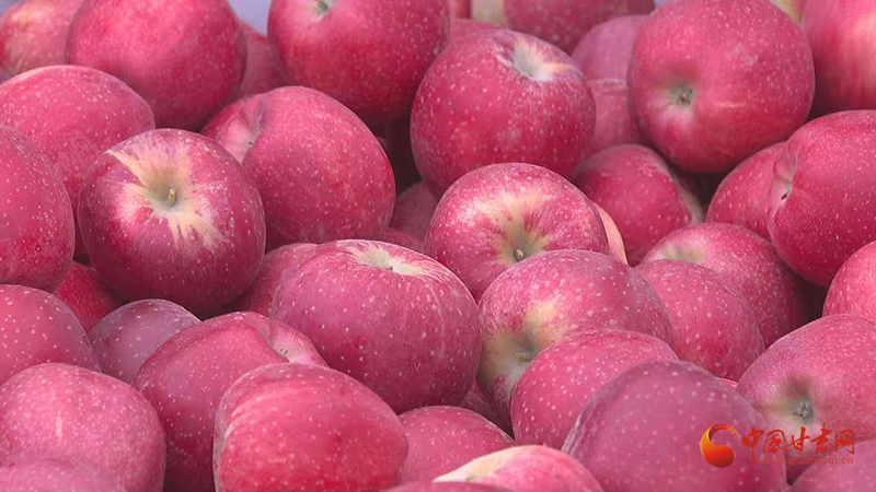 民樂(lè)：早熟蘋(píng)果喜豐收“甜蜜經(jīng)濟(jì)”促振興